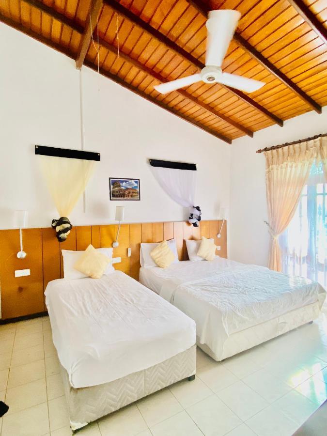 Hikka Paradise Guest House هيكادوفا المظهر الخارجي الصورة